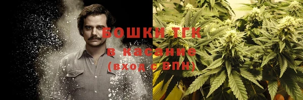 трава Вяземский