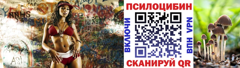 Галлюциногенные грибы Psilocybe  Купить где  Томари 